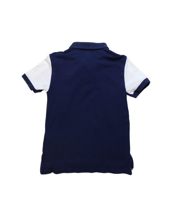 A Multicolour Short Sleeve Polos from Polo Ralph Lauren in size 5T for boy. (Back View)