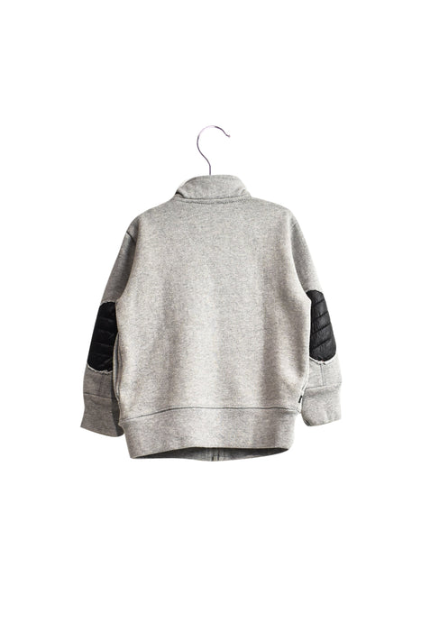 A Grey Lightweight Jackets from John Galliano in size 12-18M for boy. (Back View)