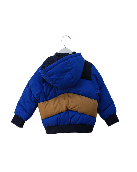 A Blue Puffer/Quilted Jackets from Seed in size 3T for boy. (Back View)