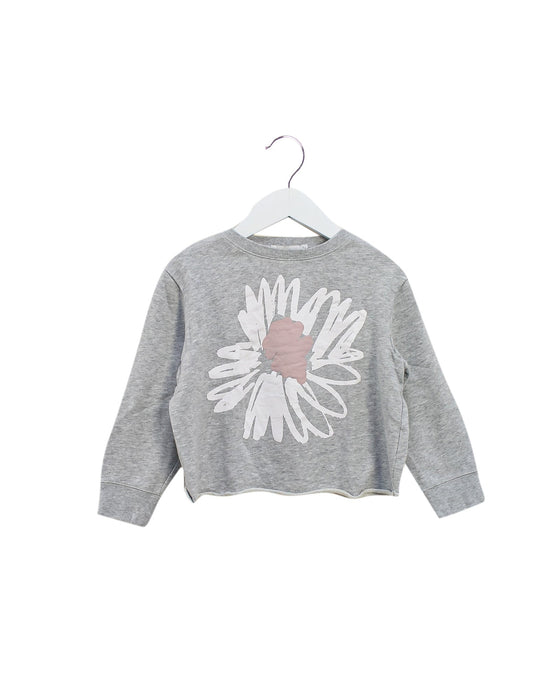 A Grey Sweatshirts from Stella McCartney in size 6T for girl. (Front View)