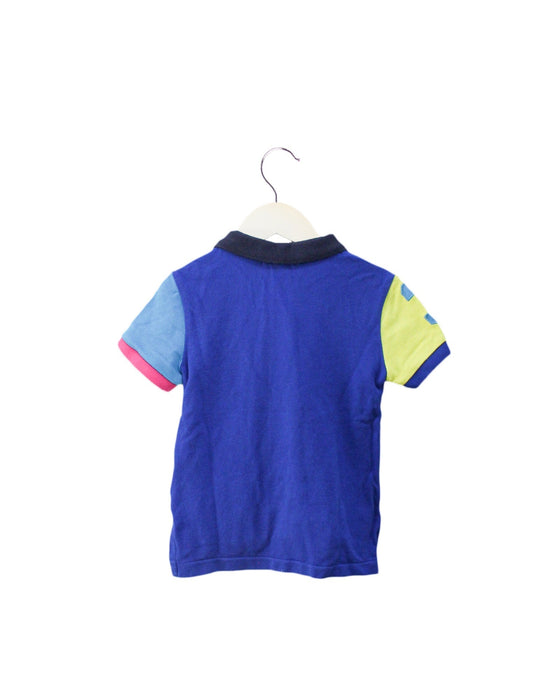 A Multicolour Short Sleeve Polos from Polo Ralph Lauren in size 2T for boy. (Back View)