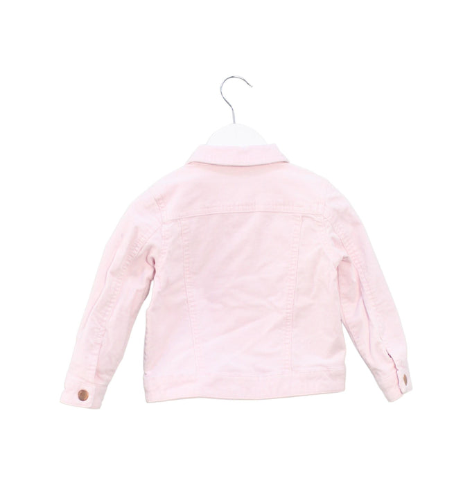 A Pink Lightweight Jackets from Seed in size 2T for girl. (Back View)