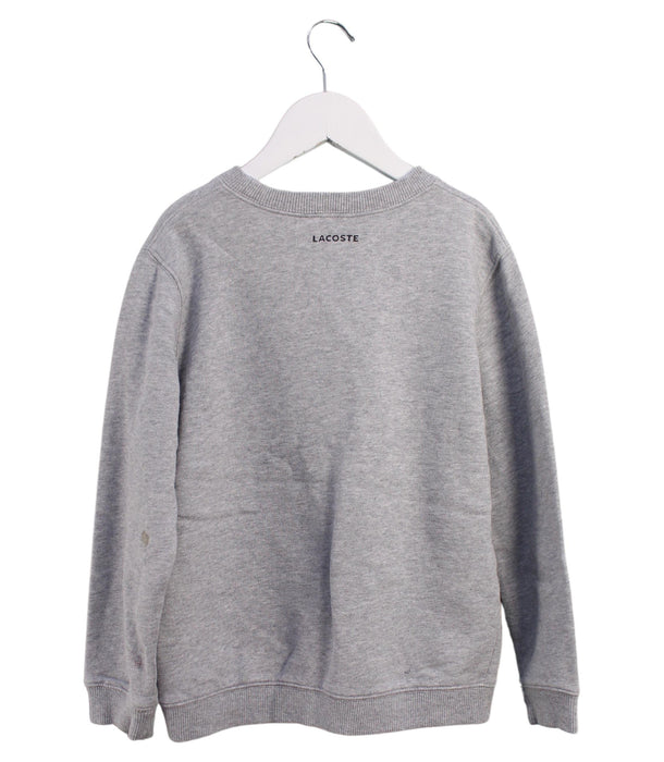 A Grey Crewneck Sweatshirts from Lacoste in size 8Y for neutral. (Back View)
