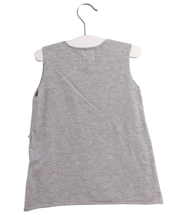 A Grey Sleeveless Dresses from Siseo Olive in size 2T for girl. (Back View)