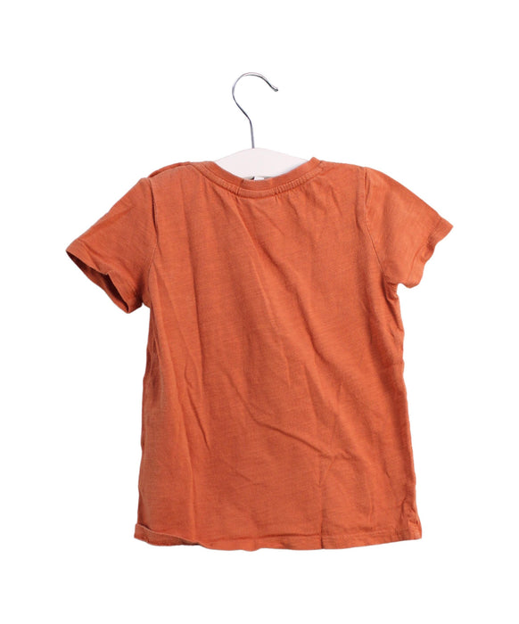 A Orange Short Sleeve T Shirts from Seed in size 2T for boy. (Back View)