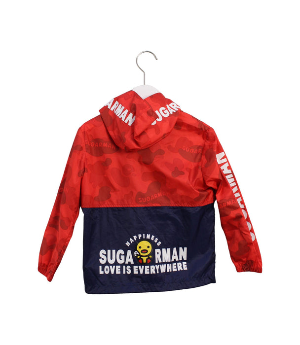 A Red Lightweight Jackets from Sugarman in size 6T for boy. (Back View)