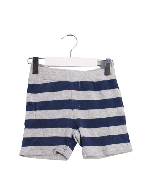 A Blue Shorts from Seed in size 5T for boy. (Front View)