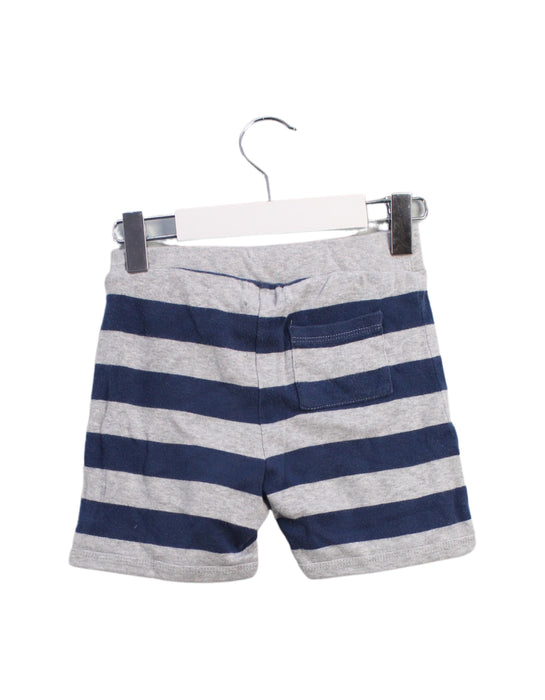 A Blue Shorts from Seed in size 5T for boy. (Back View)