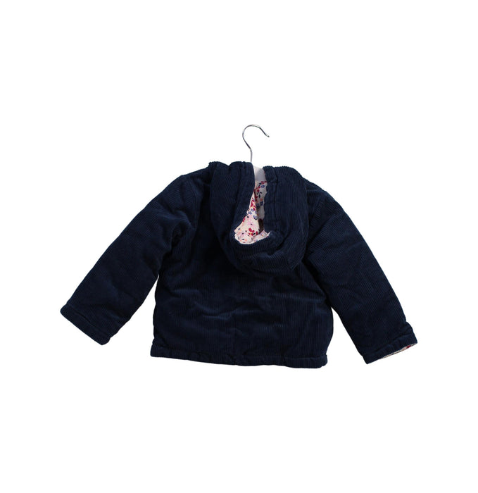 A Navy Puffer/Quilted Jackets from Sprout in size 6-12M for girl. (Back View)