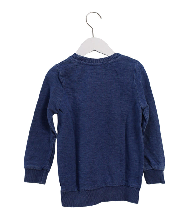 A Blue Crewneck Sweatshirts from Seed in size 5T for boy. (Back View)