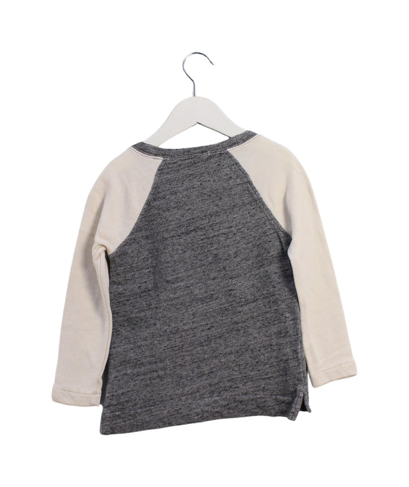 A Grey Knit Sweaters from Crewcuts in size 4T for girl. (Back View)