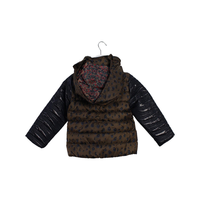 A Brown Puffer/Quilted Jackets from Scotch & Soda in size 4T for girl. (Back View)