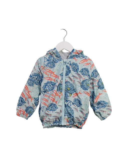 A Multicolour Lightweight Jackets from Kenzo in size 3T for neutral. (Front View)