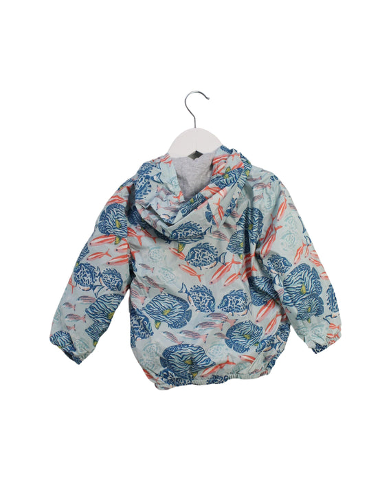 A Multicolour Lightweight Jackets from Kenzo in size 3T for neutral. (Back View)