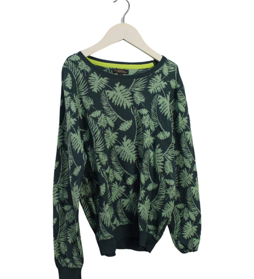 A Green Crewneck Sweatshirts from Velveteen in size 10Y for boy. (Front View)