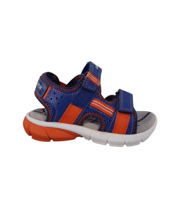 A Blue Sandals from Geox in size 18-24M for boy. (Back View)