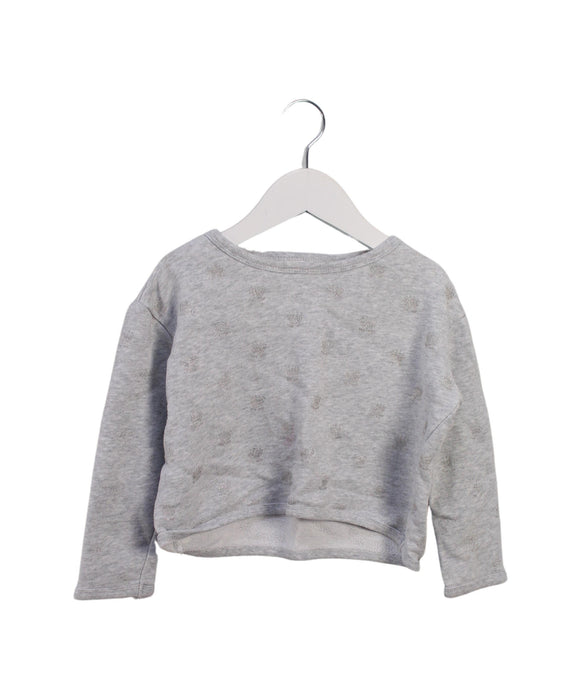 A Grey Crewneck Sweatshirts from Seed in size 3T for girl. (Front View)