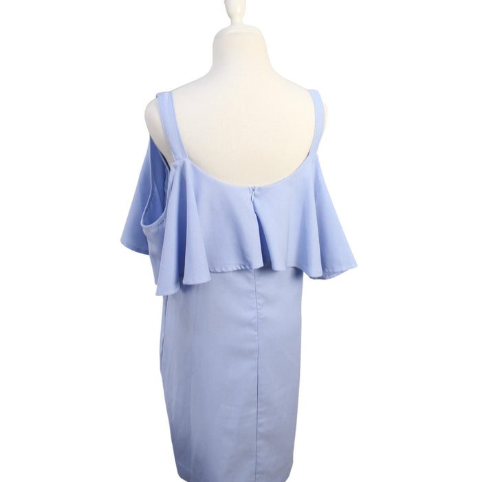 A Blue Sleeveless Dresses from Mothercot in size L for maternity. (Back View)