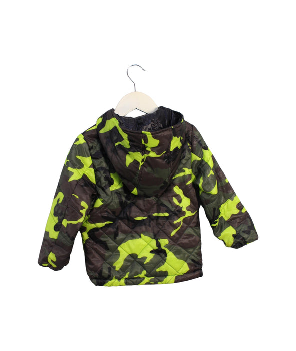 A Green Puffer/Quilted Jackets from izzue in size 2T for boy. (Back View)