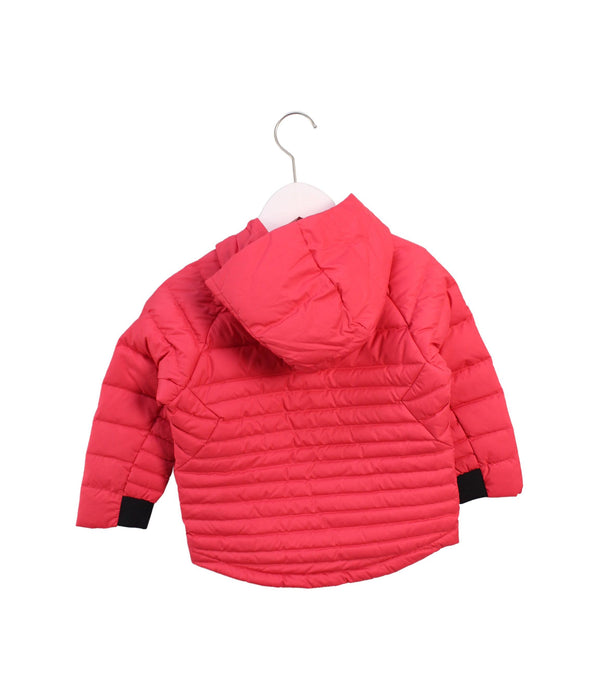 A Pink Puffer/Quilted Jackets from Nike in size 4T for girl. (Back View)