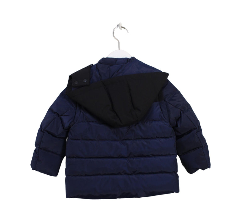 A Navy Puffer/Quilted Jackets from Ferrari in size 2T for boy. (Back View)