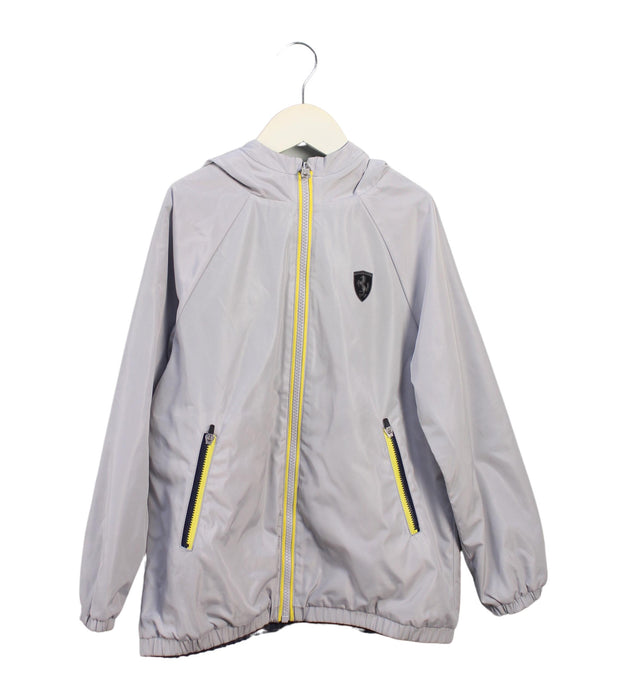 A Grey Lightweight Jackets from Ferrari in size 9Y for boy. (Front View)