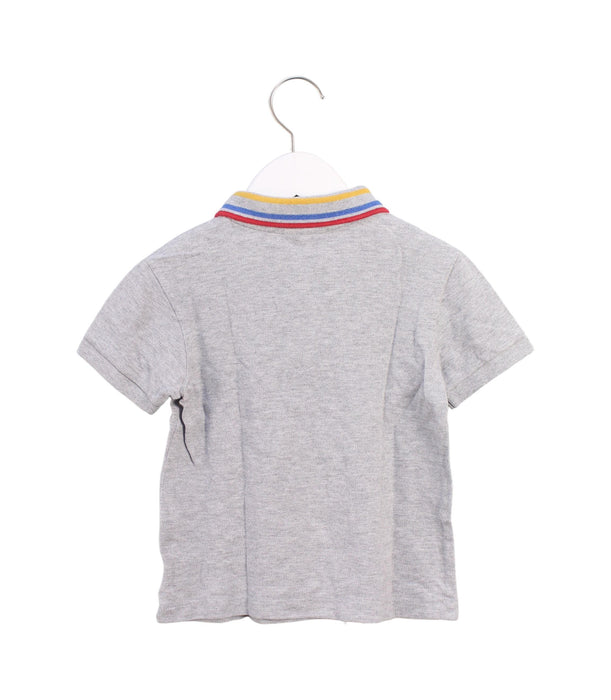 A Grey Short Sleeve Polos from Lacoste in size 5T for boy. (Back View)