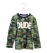 A Multicolour Long Sleeve Tops from Crewcuts in size 3T for boy. (Front View)