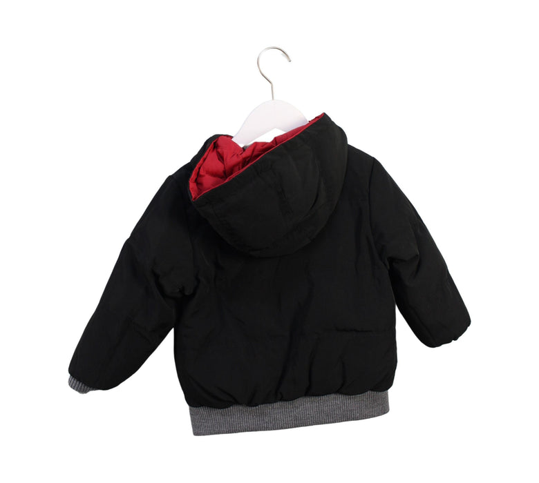 A Black Puffer/Quilted Jackets from Chickeeduck in size 4T for boy. (Back View)