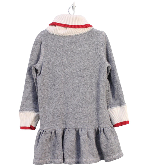 A Grey Sweater Dresses from Polo Ralph Lauren in size 2T for girl. (Back View)