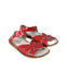 A Red Sandals from Salt-Water in size 4T for girl. (Front View)