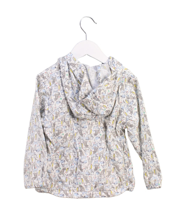 A Multicolour Lightweight Jackets from Petit Bateau in size 18-24M for boy. (Back View)