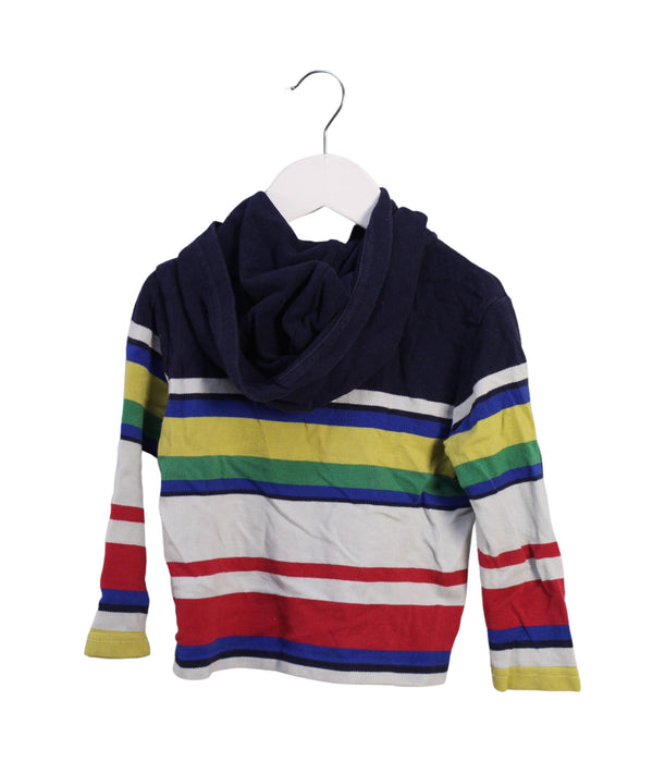 A Multicolour Sweatshirts from Polo Ralph Lauren in size 2T for boy. (Back View)