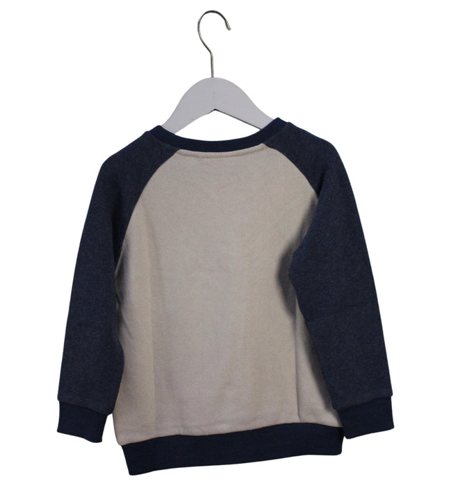 A Ivory Crewneck Sweatshirts from Chickeeduck in size 5T for boy. (Back View)