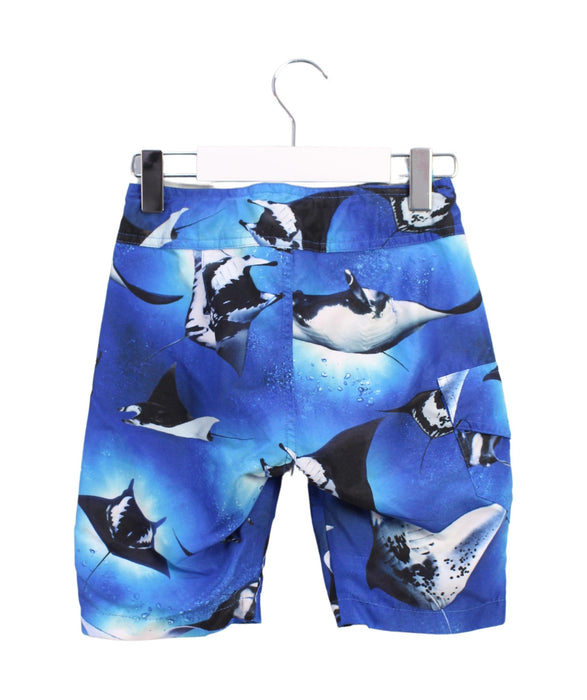 A Blue Swim Shorts from Molo in size 3T for boy. (Back View)