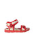 A Red Sandals from Dolce & Gabbana in size 4T for girl. (Back View)