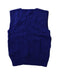 A Blue Sweater Vests from Polo Ralph Lauren in size 6T for boy. (Back View)