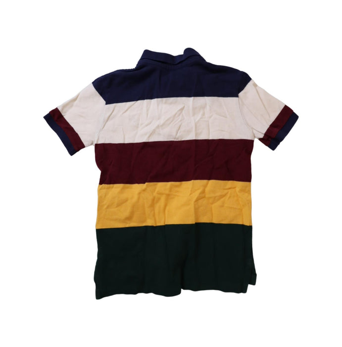 A Multicolour Short Sleeve Polos from Polo Ralph Lauren in size 6T for boy. (Back View)