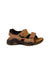 A Brown Sandals from Primigi in size 4T for boy. (Back View)