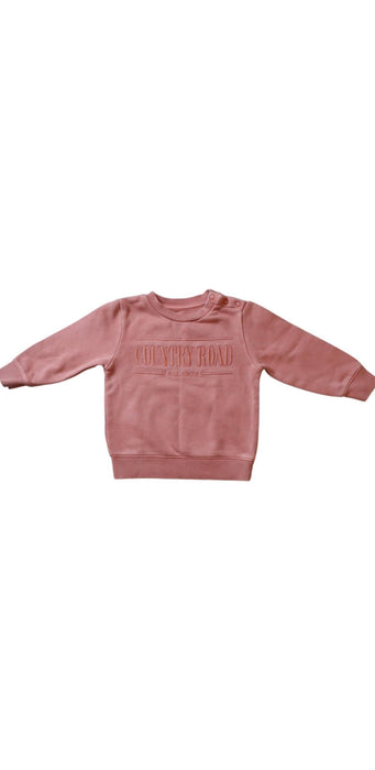 A Pink Crewneck Sweatshirts from Country Road in size 3-6M for girl. (Front View)