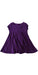 A Purple Short Sleeve Dresses from Ralph Lauren in size 2T for girl. (Back View)