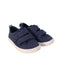 A Blue Sneakers from Native Shoes in size 5T for boy. (Front View)