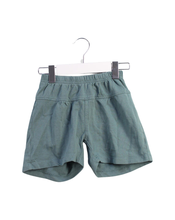 A Green Shorts from Tea in size 5T for boy. (Front View)