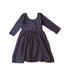 A Navy Long Sleeve Dresses from Alice + Ames in size 2T for girl. (Front View)