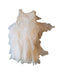 A White Sleeveless Dresses from Brums in size 4T for girl. (Back View)