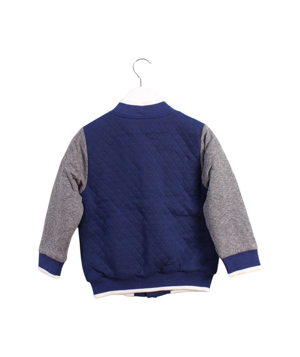 A Blue Puffer/Quilted Jackets from Chickeeduck in size 4T for boy. (Back View)