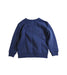 A Blue Sweatshirts from Polo Ralph Lauren in size 5T for boy. (Back View)