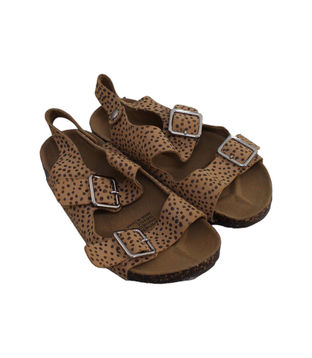 A Brown Sandals from Seed in size 5T for boy. (Front View)