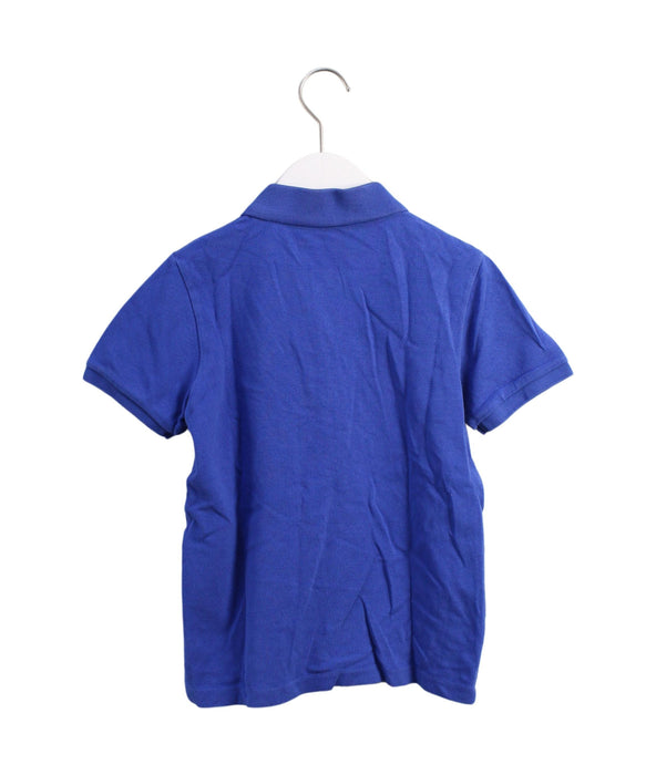 A Blue Short Sleeve Polos from Miki House in size 10Y for boy. (Back View)