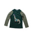 A Green Long Sleeve Tops from Familiar in size 4T for boy. (Front View)